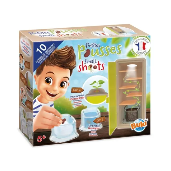 Ismerje meg a magok életét lépésről lépésre, mint egy kincsvadászatban!