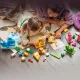 LEGO DUPLO 10472 Játékos állatépítés