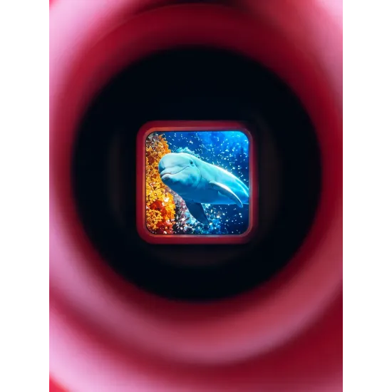 Retro 3D képnézegető Rose