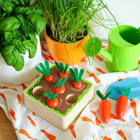 Helyezze be a sárgarépát