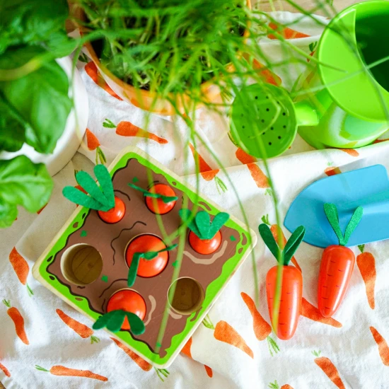 Helyezze be a sárgarépát