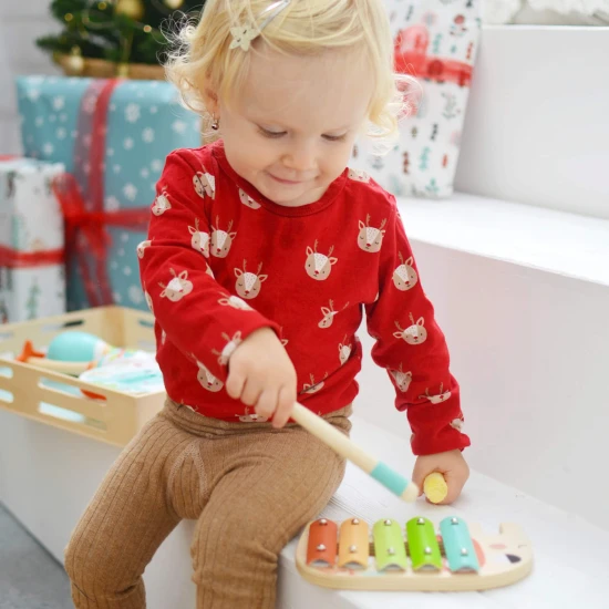 Gyermek zenés szett Animals Tooky Toy