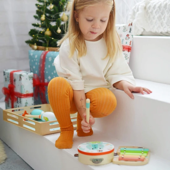 Gyermek zenés szett Animals Tooky Toy