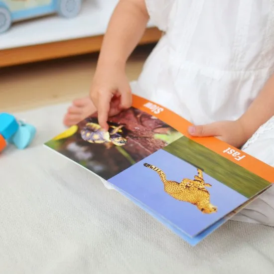 19-24 hónapos Oktatódoboz Maxi Didaktikai játékok 2 éves korig Tooky Toy