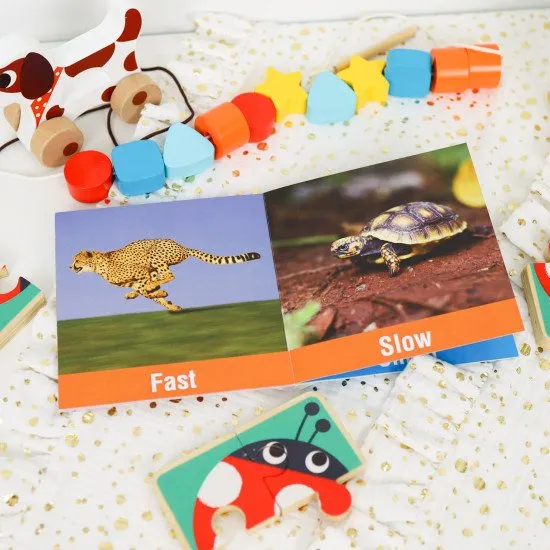 19-24 hónapos Oktatódoboz Maxi Didaktikai játékok 2 éves korig Tooky Toy