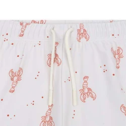 Fürdőruha-bokszer UPF 50+ fényvédővel Little Lobster