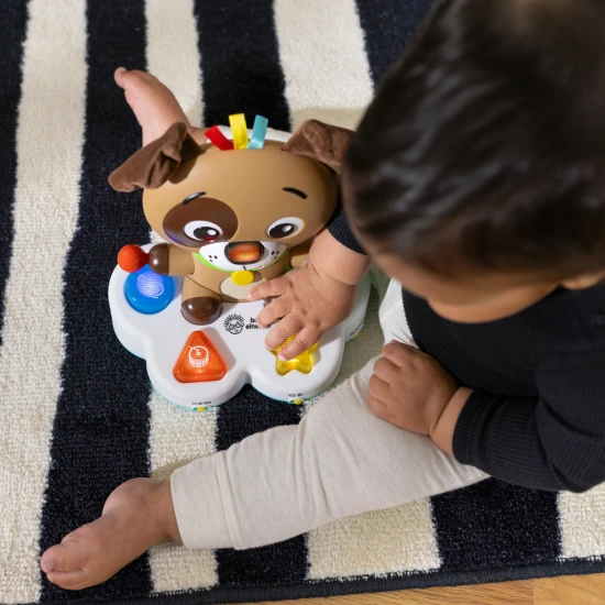 Zenélő oktató játék Drum & Learn Dean™ 6h+ Baby Einstein 16830-4