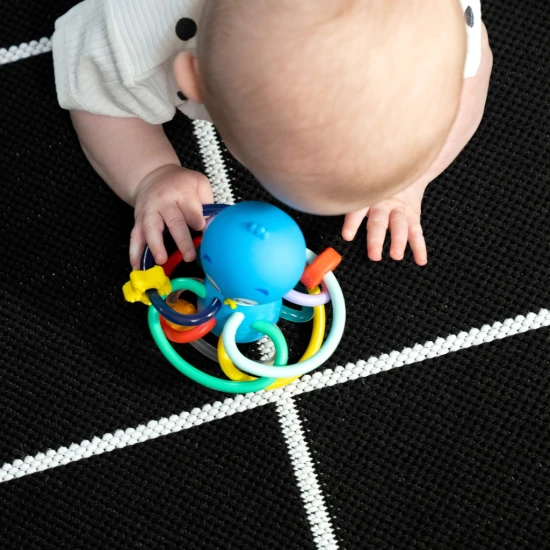 Rágóka/csörgő Opus’s Shake & Soothe™ 0h+ Baby Einstein 13157-6