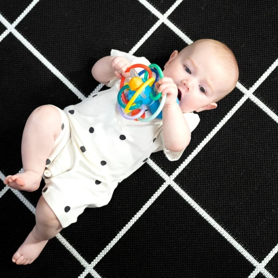 Rágóka/csörgő Opus’s Shake & Soothe™ 0h+ Baby Einstein 13157-6