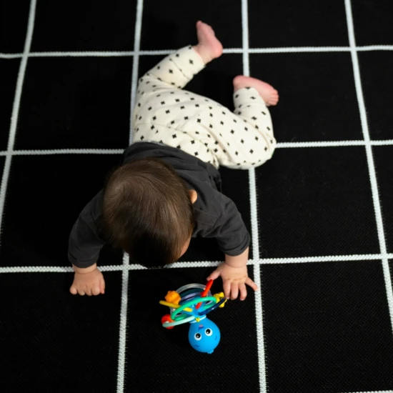 Rágóka/csörgő Opus’s Shake & Soothe™ 0h+ Baby Einstein 13157-6