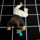 Rágóka/csörgő Opus’s Shake & Soothe™ 0h+ Baby Einstein 13157-6
