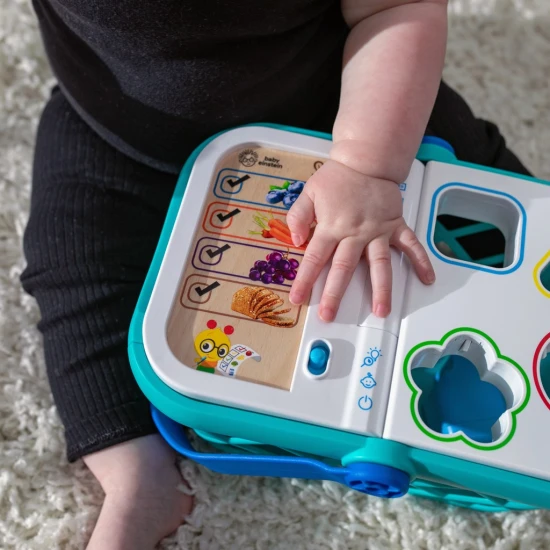 Bevásárlókosár Magic Touch HAPE 9m+ Baby Einstein 16659-4