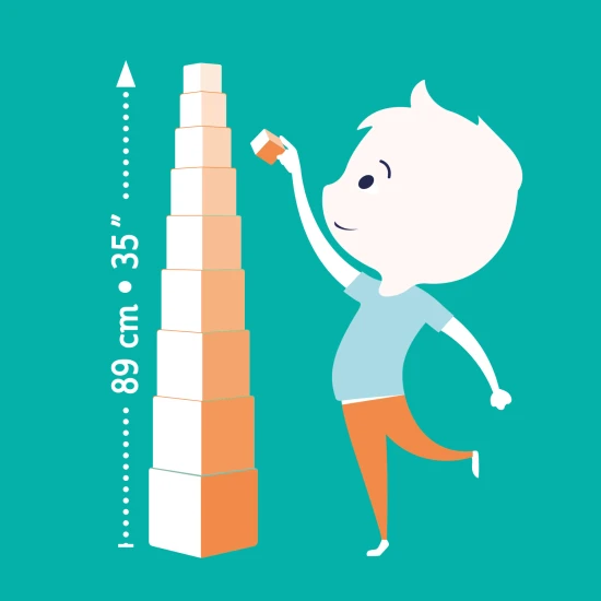 Piramiskockák Aranyos állatok