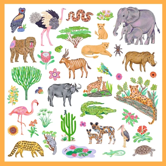 Matricák: Kenya (160 db)