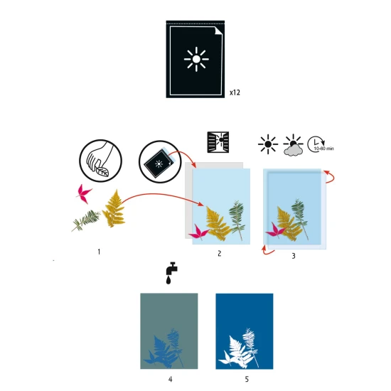 Cianotípia tartozékok 12 lap fényérzékeny papír