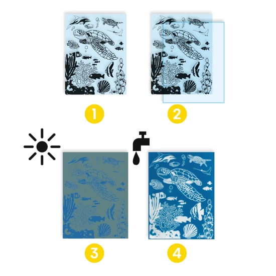 Kreatív cianotípia készlet Víz alatti világ