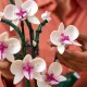 LEGO botanikai kollekció - egzotikus orchidea felnőtteknek