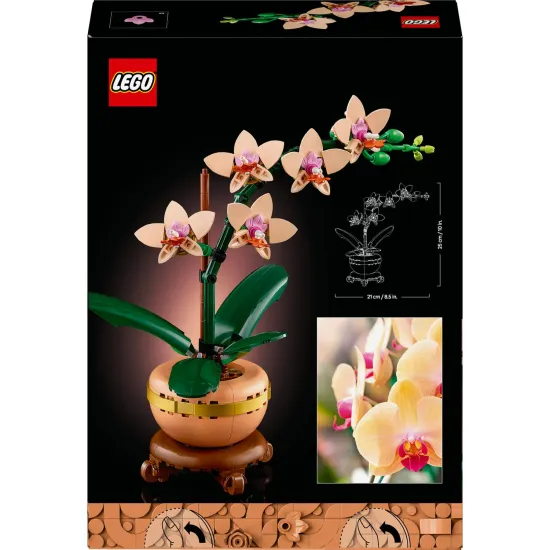 LEGO Botanicals Miniatűr orchidea edényben arany részletekkel