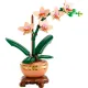 LEGO Botanicals Miniatűr orchidea edényben arany részletekkel
