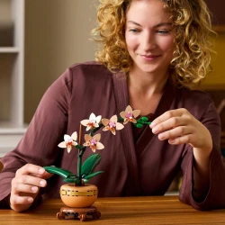 LEGO Botanicals 10343 Miniatűr orchidea LEGO Botanicals 10343 Miniatűr orchidea