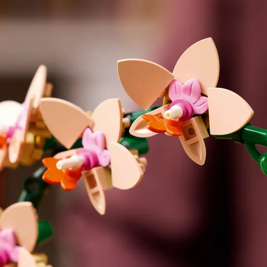 LEGO Botanicals Miniatűr orchidea edényben arany részletekkel