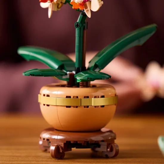 LEGO Botanicals Miniatűr orchidea edényben arany részletekkel
