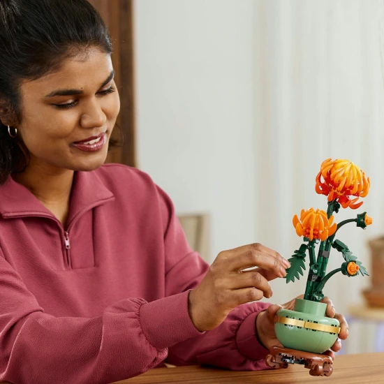 LEGO Botanicals 10368 Krizantém LEGO Botanicals 10368 Krizantém
