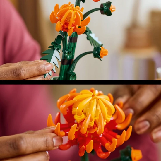 LEGO Botanicals 10368 Krizantém LEGO Botanicals 10368 Krizantém
