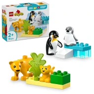 LEGO DUPLO 10442 Vadon élő állatok családjai: pingvinek és oroszlánok