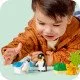 Az oroszlánokból és pingvinekből álló LEGO család készen áll a vadonbeli kalandra