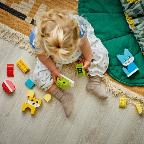 LEGO DUPLO 10477 Kreatív aranyos háziállatok 3 az 1-ben