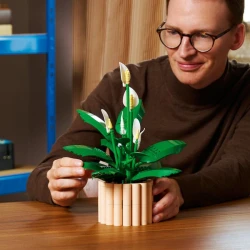 LEGO Botanicals 11504 Vitorlavirág
