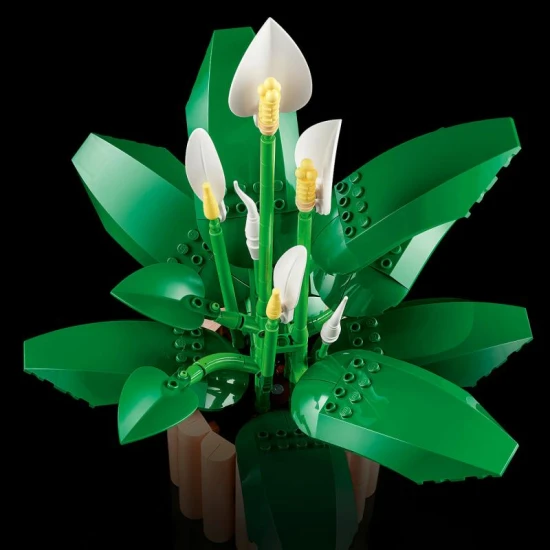 LEGO Botanicals 11504 Vitorlavirág