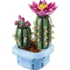 LEGO Botanicals 11509 Virágzó kaktusz LEGO Botanicals 11509 Virágzó kaktusz