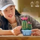 LEGO Botanicals 11509 Virágzó kaktusz LEGO Botanicals 11509 Virágzó kaktusz