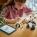 LEGO Creator