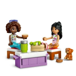 LEGO Friends 42659 Autós kirándulás barátokkal