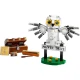 LEGO Harry Potter: Hedvig a magánösvényen 4
