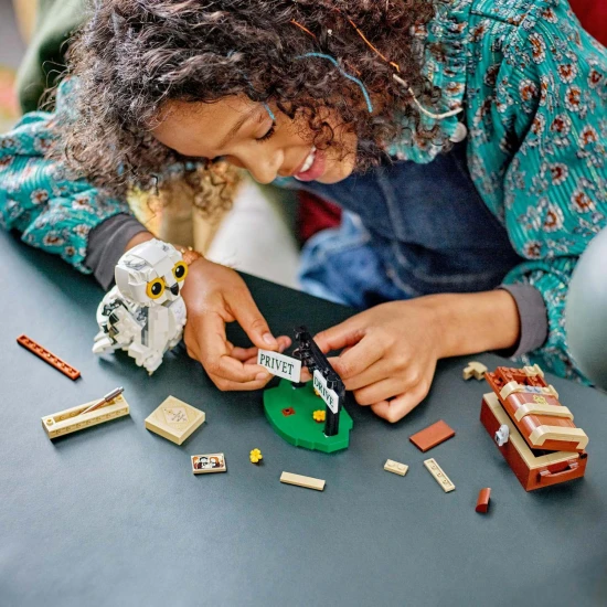 LEGO Harry Potter: Hedvig a magánösvényen 4