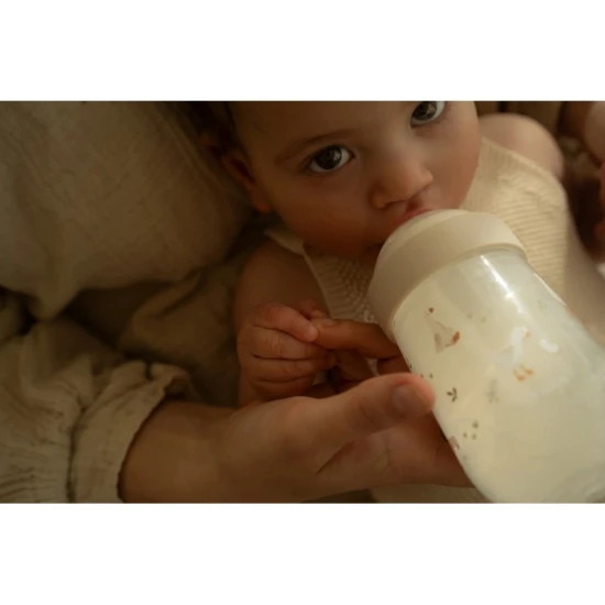 Little Dutch Cumisüvegek 165 ml + 240 ml + 2 cumi Liba Little Dutch Cumisüvegek 165 ml + 240 ml + 2 cumi Liba
