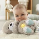 Fisher-Price nyugtató vidra puha hassal és fényekkel, tökéletes az elalváshoz.