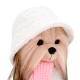 Lucky Doggy Ruha szett kutyának – Fashion Winter