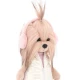 Lucky Doggy Plüsskutya Yorkshire - Yoyo Pink Dream