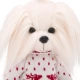 Lucky Doggy Plüss kutya Málta nőstény – Mimi Scandinavian Motif Lucky Doggy Plüss kutya Málta nőstény – Mimi Scandinavian Motif