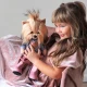 Lucky Doggy Plüss kutya Yorkshire terrier – Yoyo Urban Style