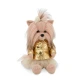 Lucky Doggy Plüss kutya Yorkshire terrier – Yoyo Golden Jacket