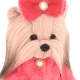 Lucky Doggy Plüss kutya Yorkshire terrier – Yoyo Fashion Week