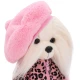 Lucky Doggy Plüss kutya Málta nőstény - Mimi Mon Amour Orange Toys