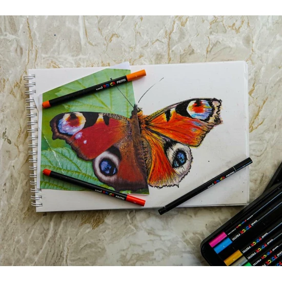 Posca Wax pasztell POSCA 24 db Nagy sűrűségű pasztell készlet hosszú, vékony testtel, ideális színezéshez, részletmunkához és kontrasztos hatások létrehozásához. Japánban készült, professzionális használatra alkalmas.