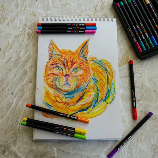 Posca Wax pasztell POSCA 24 db Nagy sűrűségű pasztell készlet hosszú, vékony testtel, ideális színezéshez, részletmunkához és kontrasztos hatások létrehozásához. Japánban készült, professzionális használatra alkalmas.